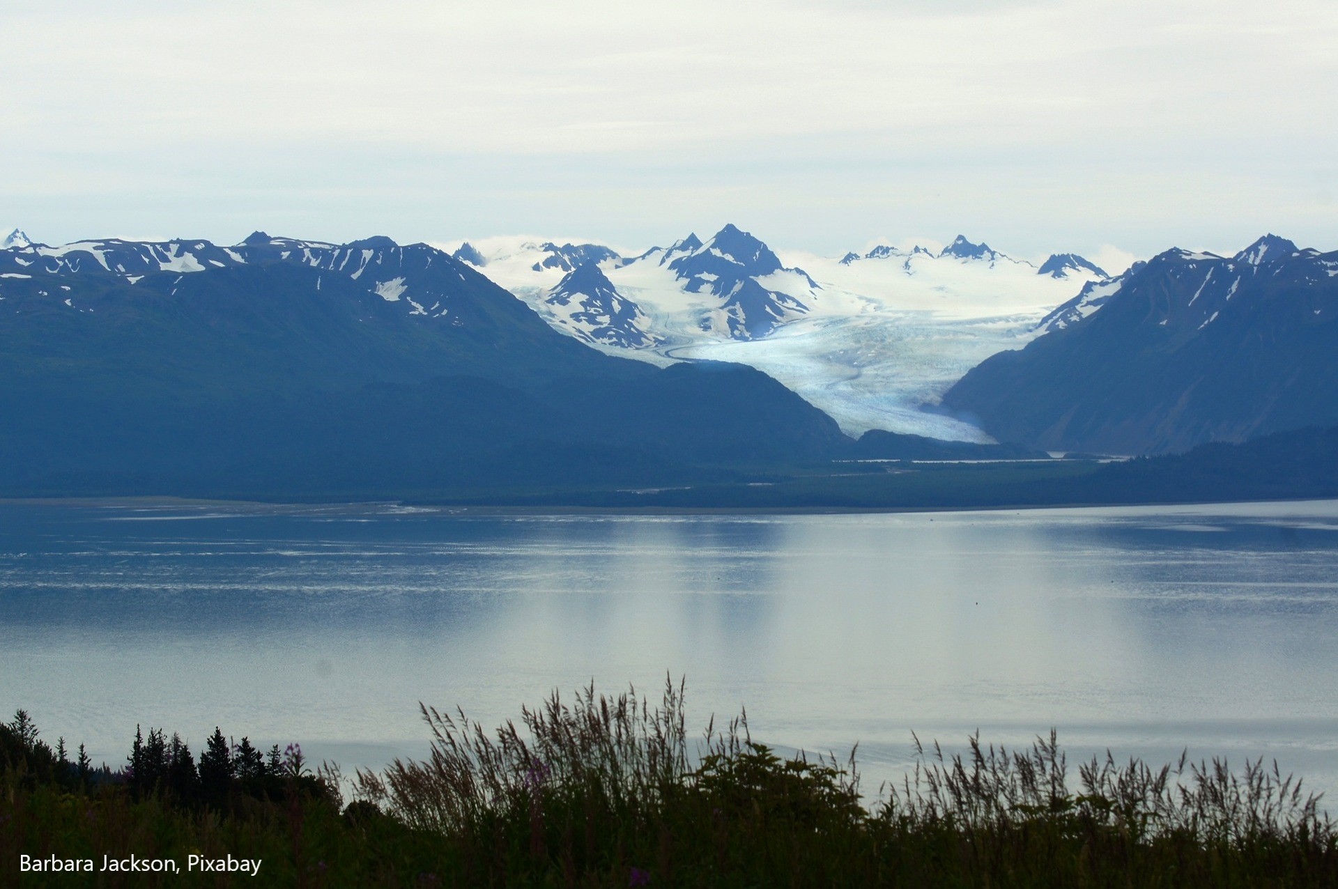 Oil And Gas Lease Sale Canceled In Cook Inlet   Lower Cook Inlet Homer 