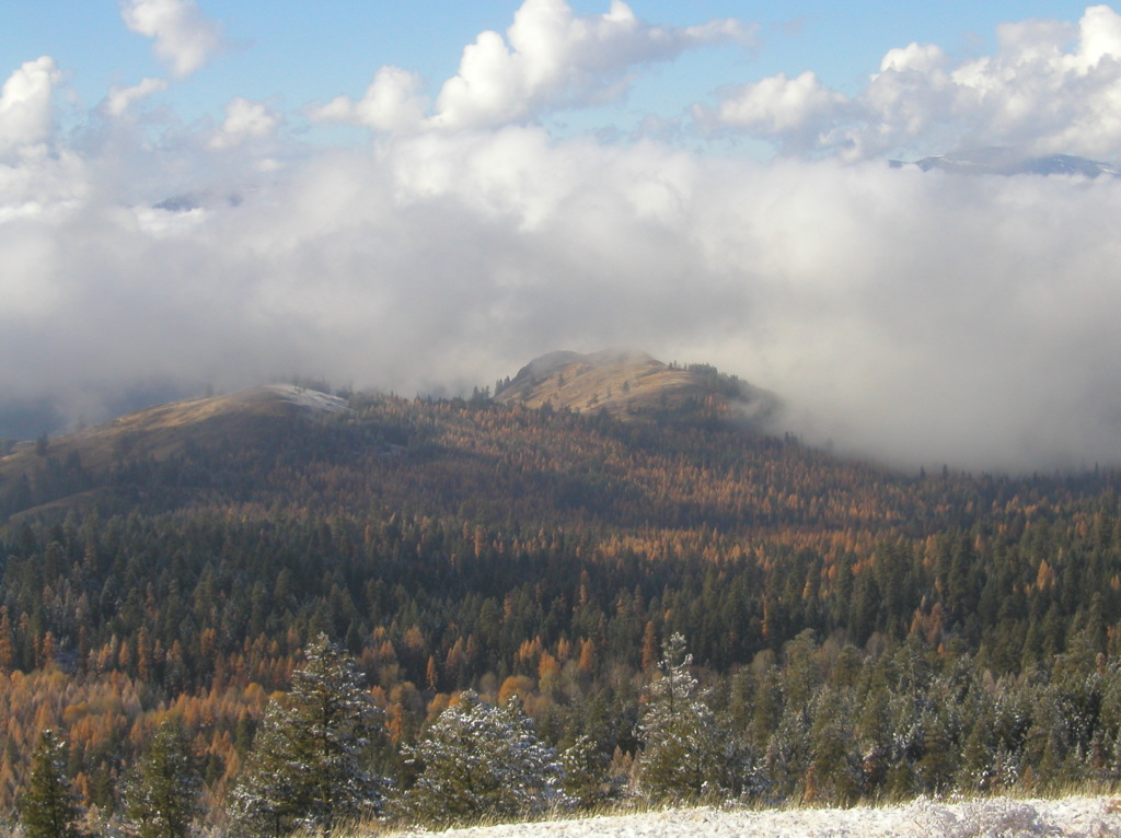 Kettle Range Conservation Group