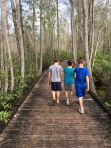Hiking in the Okefenokee