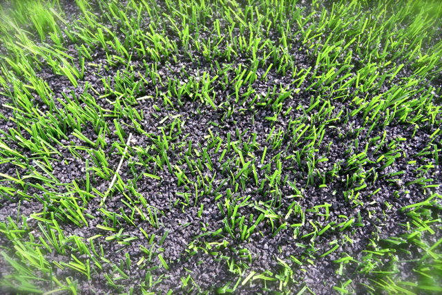 Turf Installation Phoenix Az