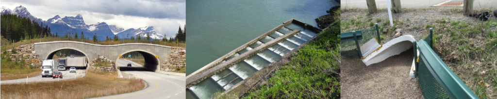 From left to right: A wildlife overpass, a fish ladder alongside a dam, a turtle tunnel