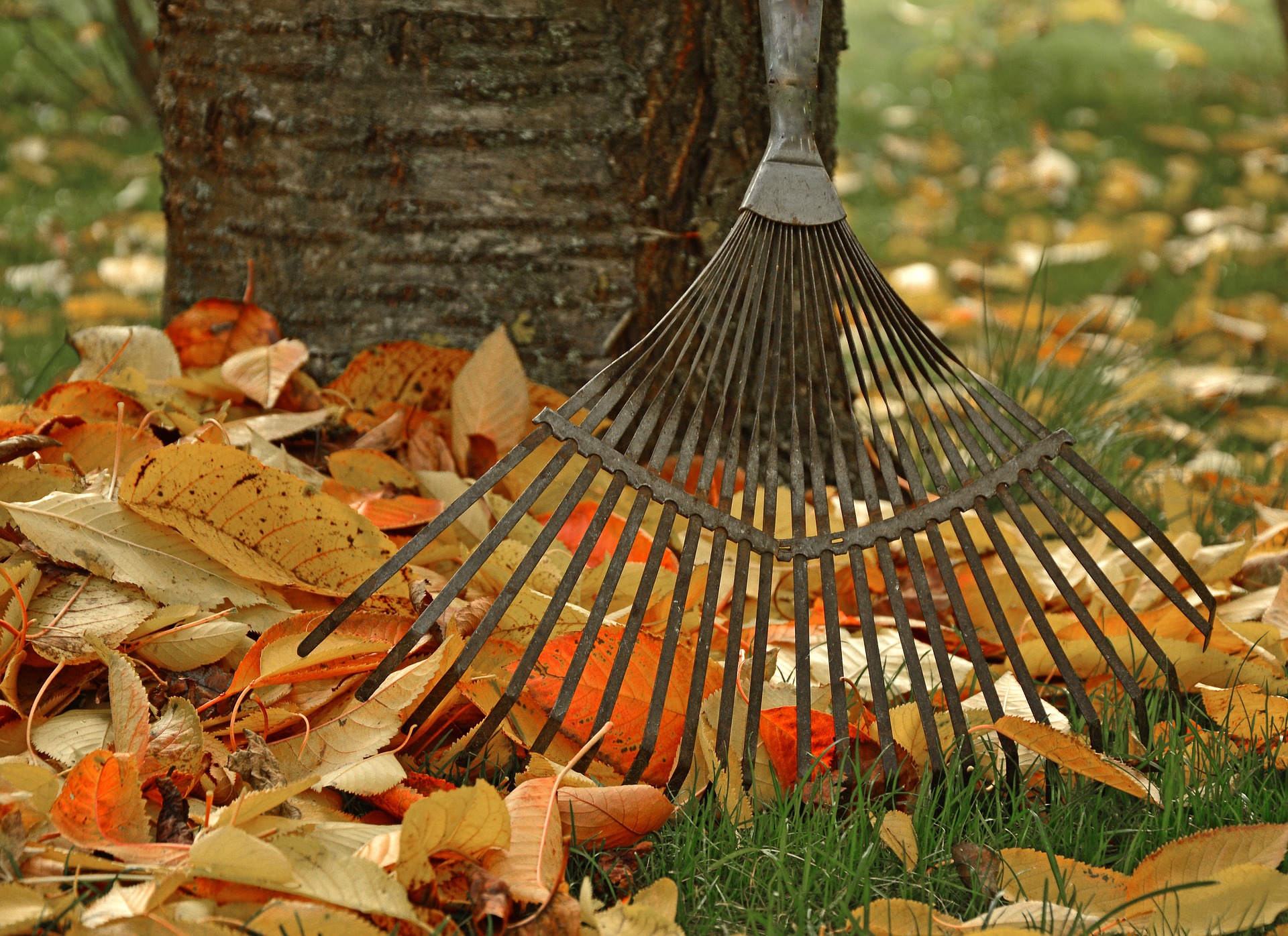 How to Protect Your Carpet in Fall & Winter Months